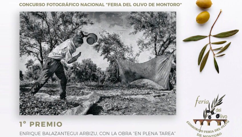 premios fotografía FERIA DEL OLIVO1º